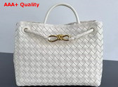 Bottega Veneta Medium Andiamo Sea Salt Intrecciato Leather Replica