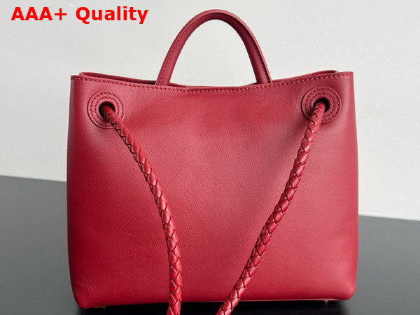 Bottega Veneta Small Andiamo Top Handle Bag in Rosewood and Space Silky Calf Leather Replica