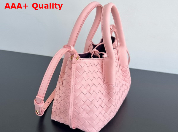 Bottega Veneta Small Pinacoteca Tote Bag Rose and Barolo Intrecciato Silky Calf Leather Replica