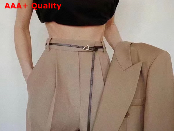 Bottega Veneta Small Triangle Belt Fondant Leather Replica