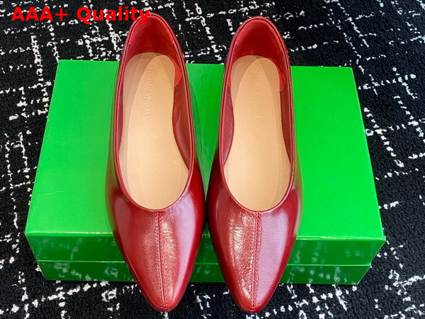 Bottega Veneta Sofia Ballerina Rosewood Shiny Calfskin Replica