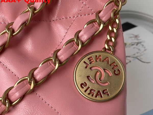 Chanel 22 Small Handbag in Light Pink Shiny Calfskin Gold Tone Metal AS3260 Replica