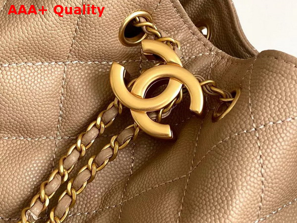 Chanel 25 Medium Handbag in Beige Grained Calfskin AS5311 Replica