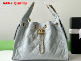 Chanel 25 Small Handbag in Light Blue Grained Calfskin Gold Tone Metal AS5293 Replica