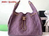 Chanel 25 Small Handbag in Light Purple Suede Calfskin AS5293 Replica