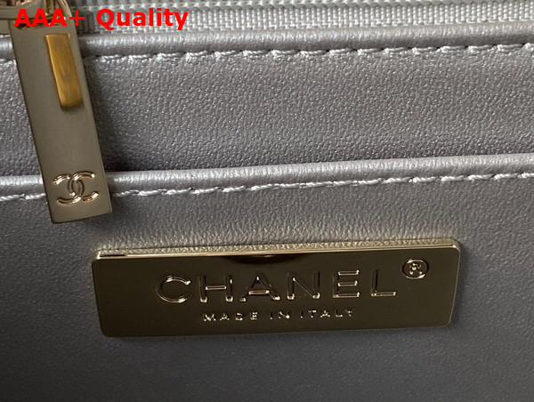 Chanel Backpack and Star Coin Purse Mirror Calfskin Metallic Calfskin and Gold Tone Metal Silver As4649 Replica