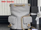 Chanel Backpack in Light Grey Shiny Lambskin Gold Tone Metal AS5310 Replica