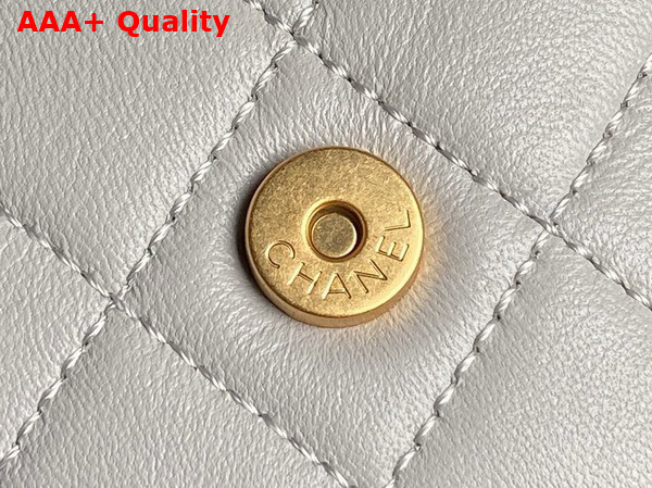 Chanel Backpack in Light Grey Shiny Lambskin Gold Tone Metal AS5310 Replica