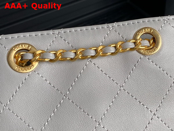 Chanel Backpack in Light Grey Shiny Lambskin Gold Tone Metal AS5310 Replica