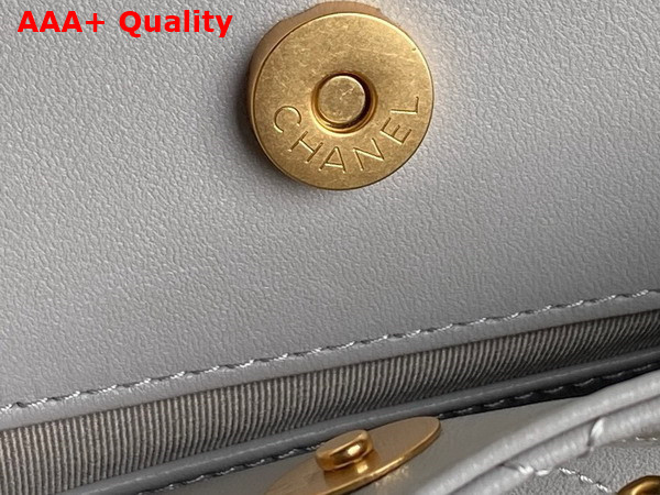 Chanel Backpack in Light Grey Shiny Lambskin Gold Tone Metal AS5310 Replica