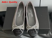 Chanel Ballet Flats in Pony Hair Grey and Black G02819 Replica