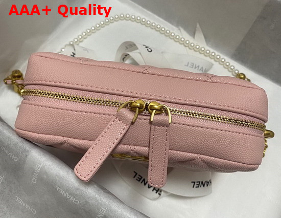 Chanel Camera Bag in Pink Grained Calfskin Replica