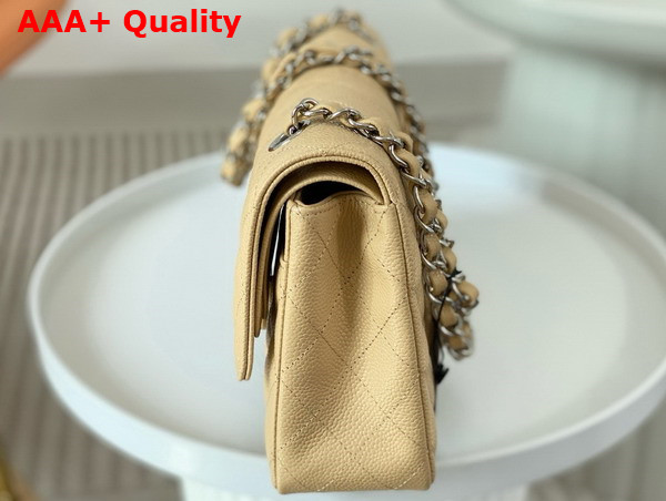 Chanel Classic Flap Bag in Beige Grained Calfskin Silver Tone Metal Replica