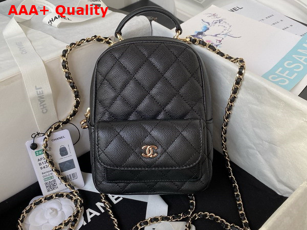 Chanel Classic Mini Backpack in Black Grained Shiny Calfskin Gold Tone Metal AP3753 Replica