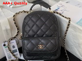 Chanel Classic Mini Backpack in Black Grained Shiny Calfskin Gold Tone Metal AP3753 Replica