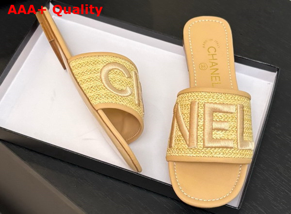 Chanel Embroidered Mule in Beige Replica