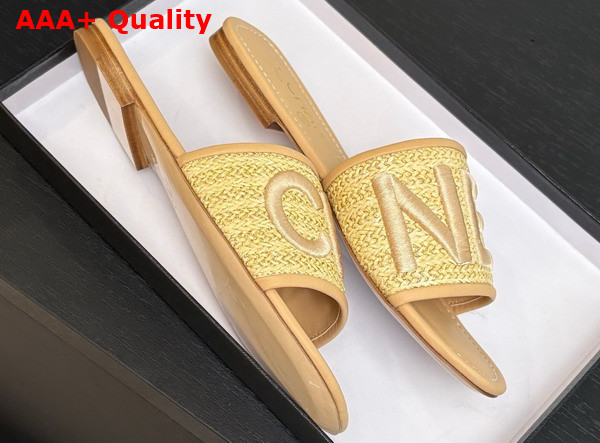 Chanel Embroidered Mule in Beige Replica