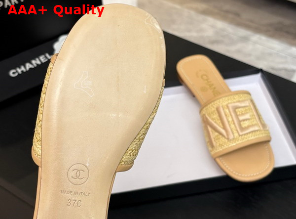 Chanel Embroidered Mule in Beige Replica