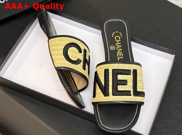 Chanel Embroidered Mule in Black Replica