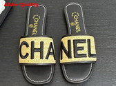 Chanel Embroidered Mule in Black Replica