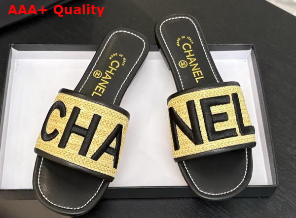 Chanel Embroidered Mule in Black Replica