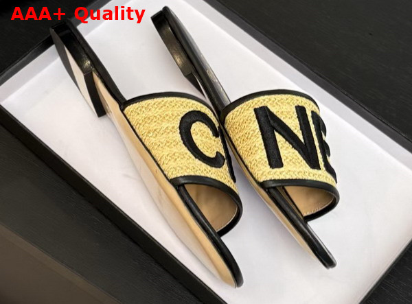 Chanel Embroidered Mule in Black Replica
