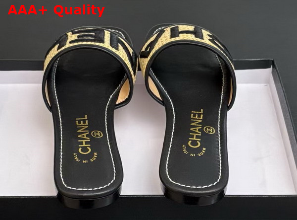 Chanel Embroidered Mule in Black Replica