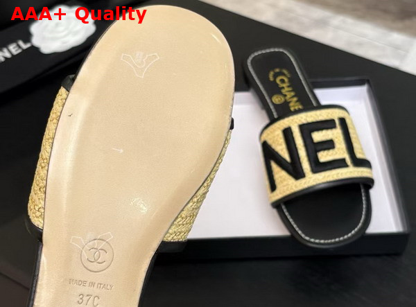 Chanel Embroidered Mule in Black Replica