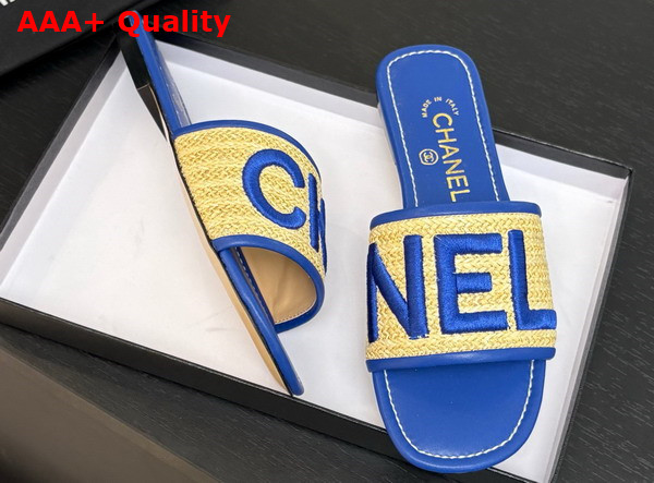 Chanel Embroidered Mule in Blue Replica