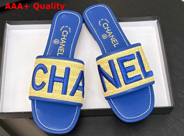 Chanel Embroidered Mule in Blue Replica
