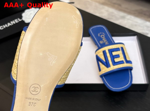 Chanel Embroidered Mule in Blue Replica