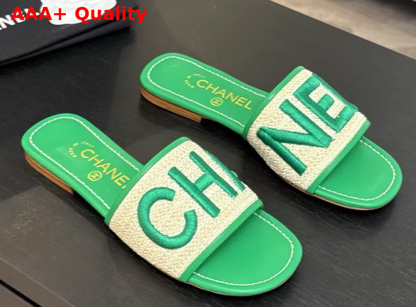 Chanel Embroidered Mule in Green Replica