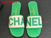 Chanel Embroidered Mule in Green Replica