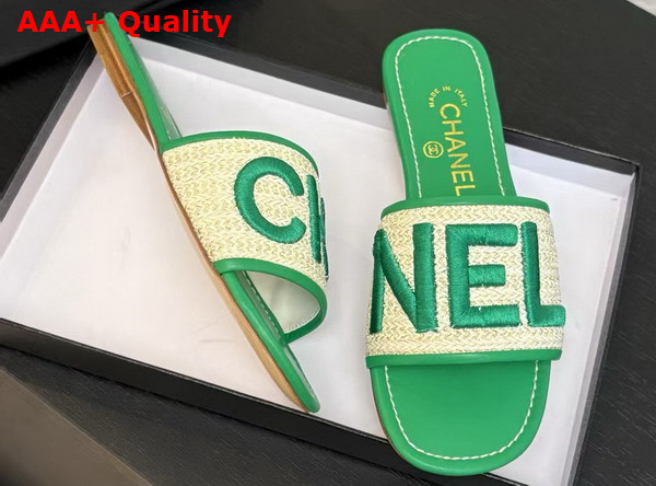 Chanel Embroidered Mule in Green Replica