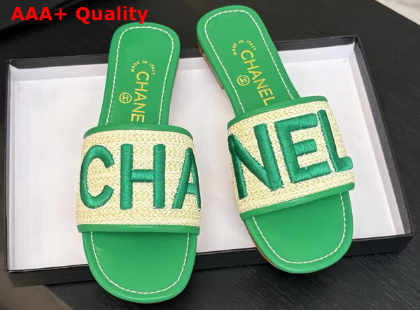 Chanel Embroidered Mule in Green Replica