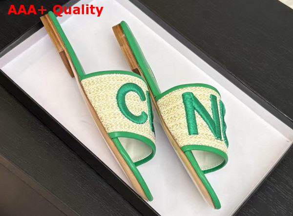 Chanel Embroidered Mule in Green Replica