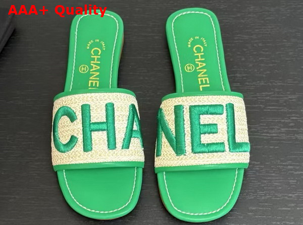 Chanel Embroidered Mule in Green Replica