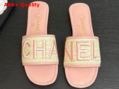 Chanel Embroidered Mule in Pink Replica