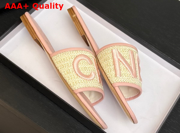 Chanel Embroidered Mule in Pink Replica