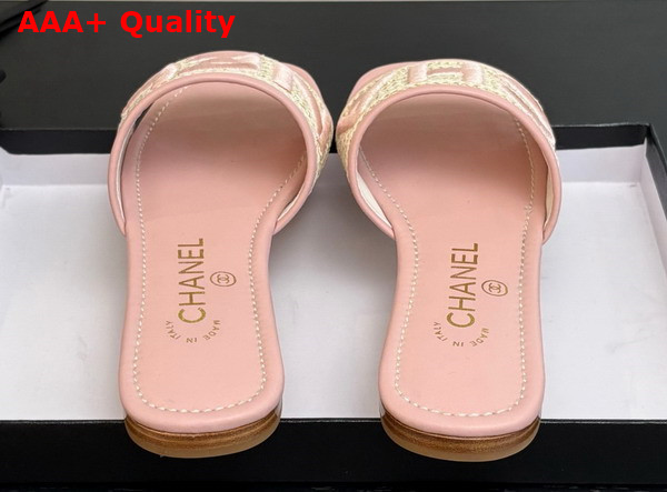 Chanel Embroidered Mule in Pink Replica
