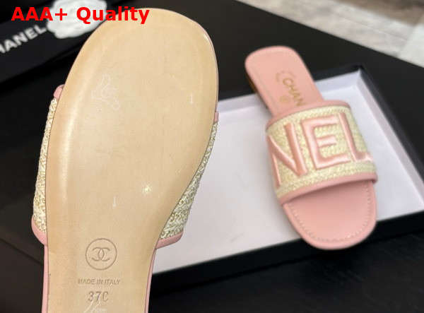Chanel Embroidered Mule in Pink Replica