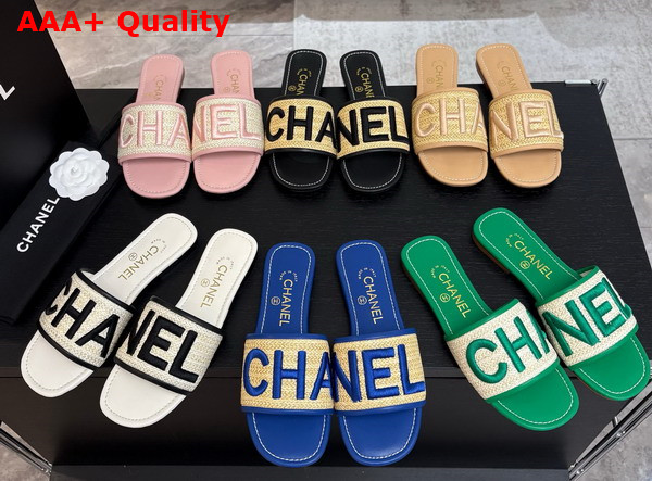 Chanel Embroidered Mule in Pink Replica