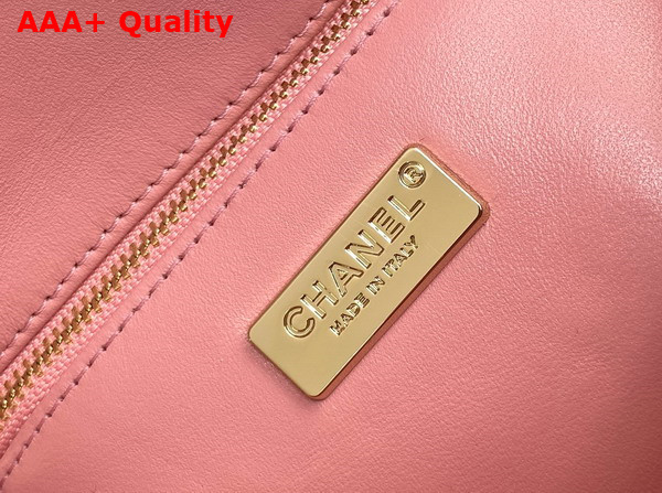 Chanel Flap Bag in Pink Fringed Sequins and Gold Tone Metal AS4561 Replica