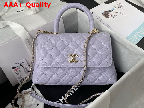 Chanel Flap Bag with Top Handle Light Purple Grained Calfskin Gold Tone Metal A92990 Replica