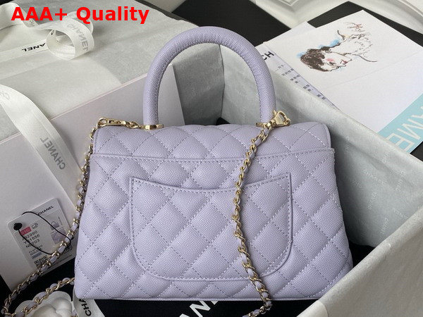 Chanel Flap Bag with Top Handle Light Purple Grained Calfskin Gold Tone Metal A92990 Replica