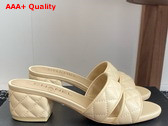 Chanel Heeled Mules in Beige Lambskin G46480 Replica