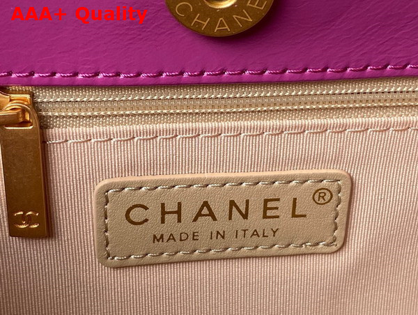 Chanel Hobo Handbag in Light Purple Purple Shiny Crumpled Calfskin Gold Tone Metal AS4322 Replica