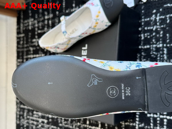 Chanel Mary Janes Multicolor Embroidered Cotton G46379 Replica
