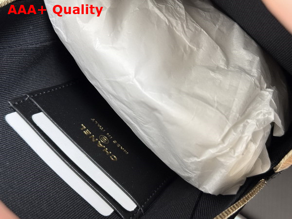Chanel Mini Backpack in Black and White Lambskin AP4514 Replica