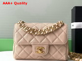 Chanel Mini Flap Bag Grained Calfskin Gold Tone Metal Beige AS5239 Replica
